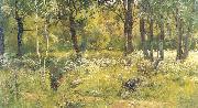 Ivan Shishkin Grassy Glades of the Forest oil on canvas